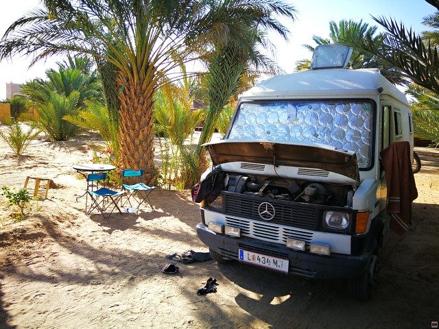 img00007.jpg