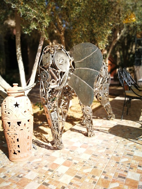 img00009.jpg