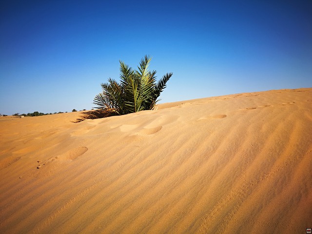 img00017.jpg