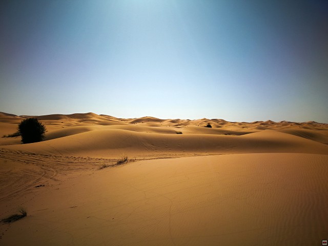 img00019.jpg