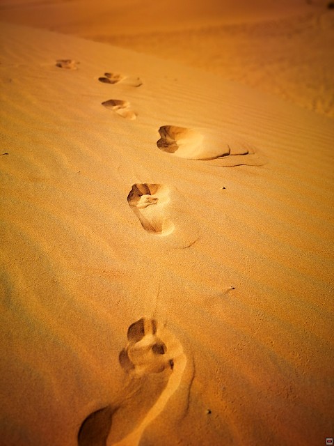 img00021.jpg