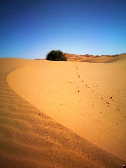 img00022.jpg