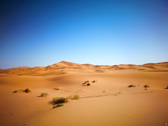 img00023.jpg