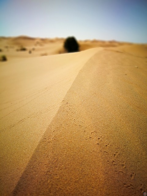 img00024.jpg