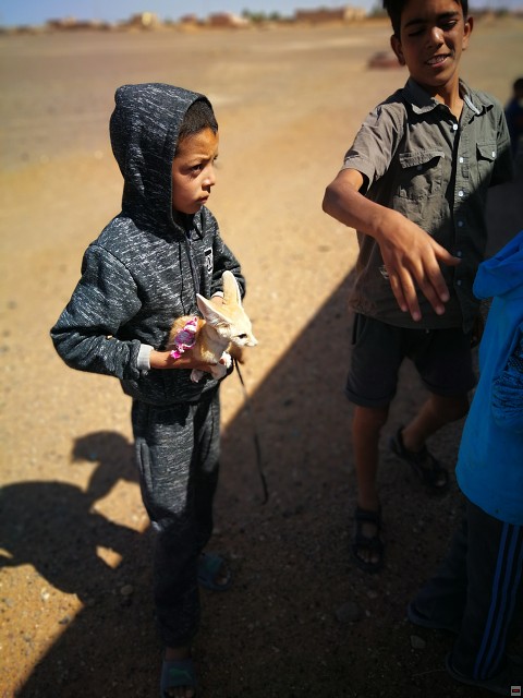 img00025.jpg
