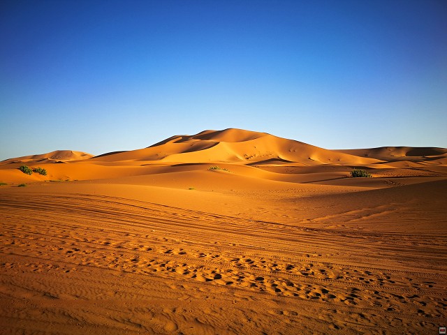 img00066.jpg