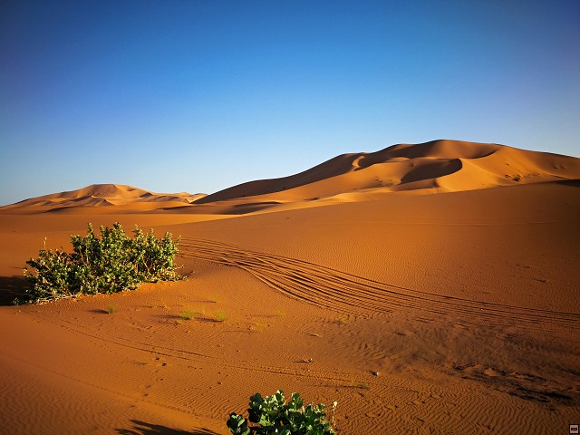 img00067.jpg