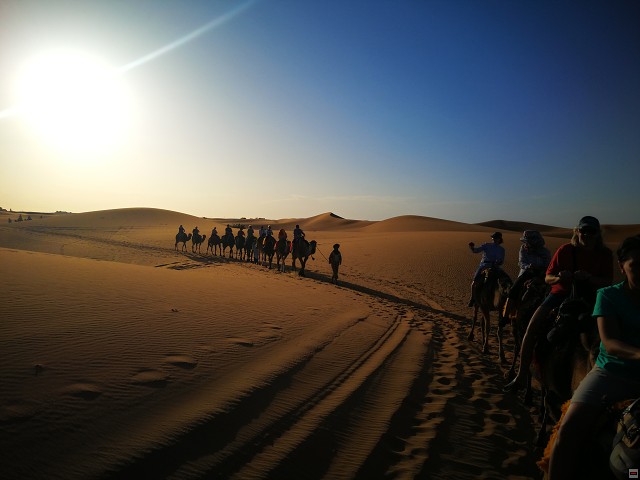 img00068.jpg