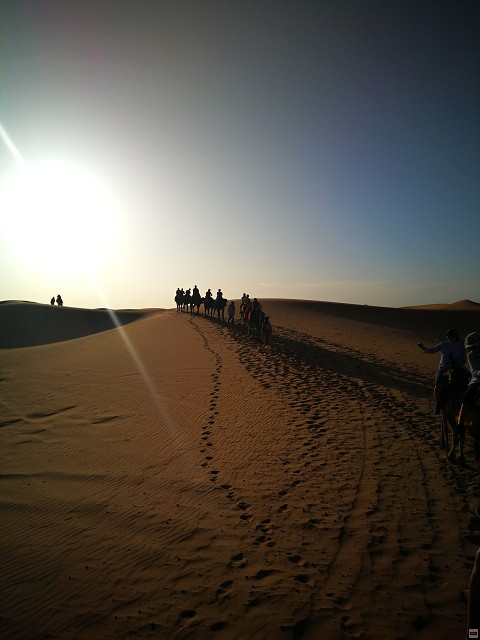 img00070.jpg