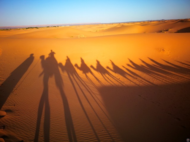 img00071.jpg
