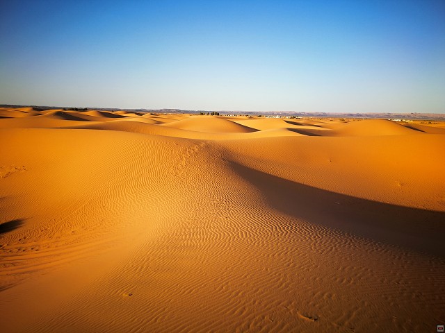 img00072.jpg