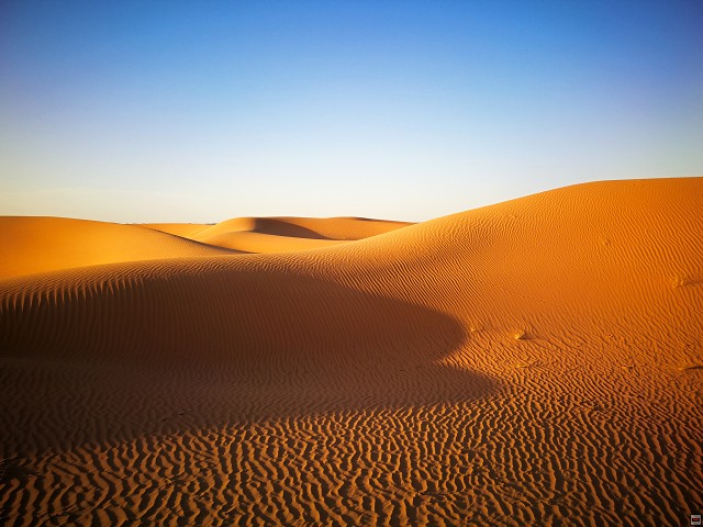 img00073.jpg