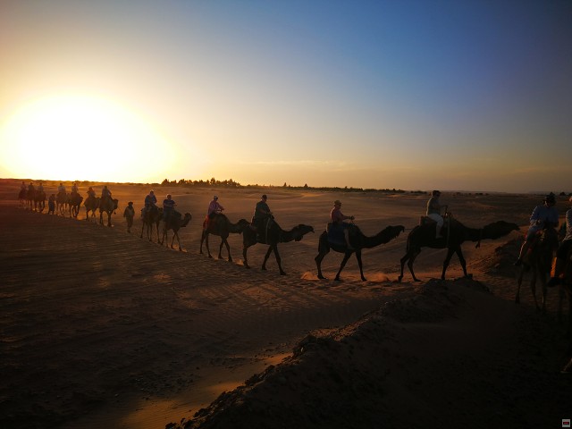 img00074.jpg
