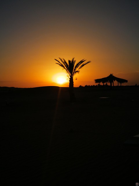 img00079.jpg