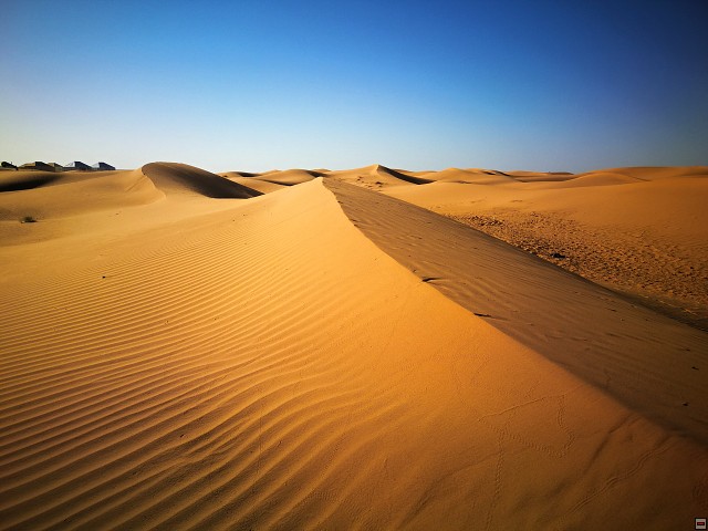 img00005.jpg