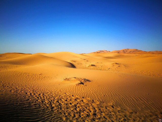 img00008.jpg