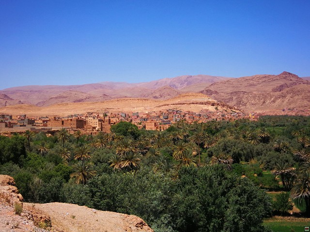 img00022.jpg