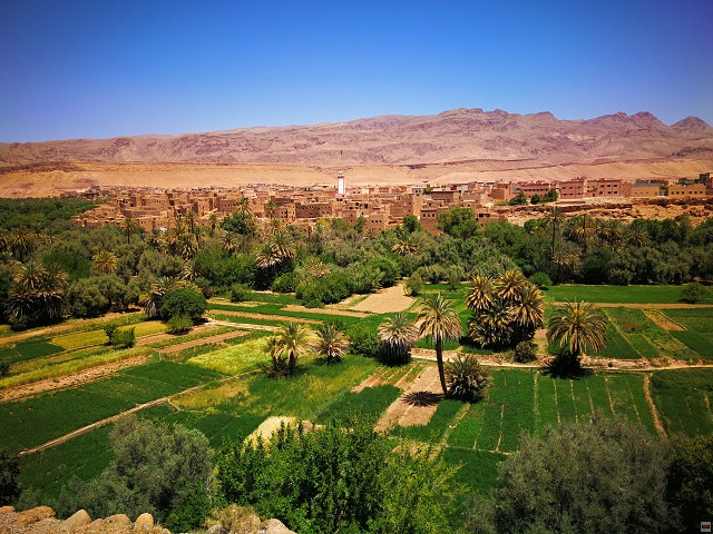 img00023.jpg