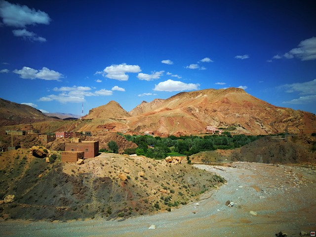 img00035.jpg