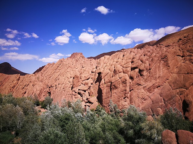 img00040.jpg