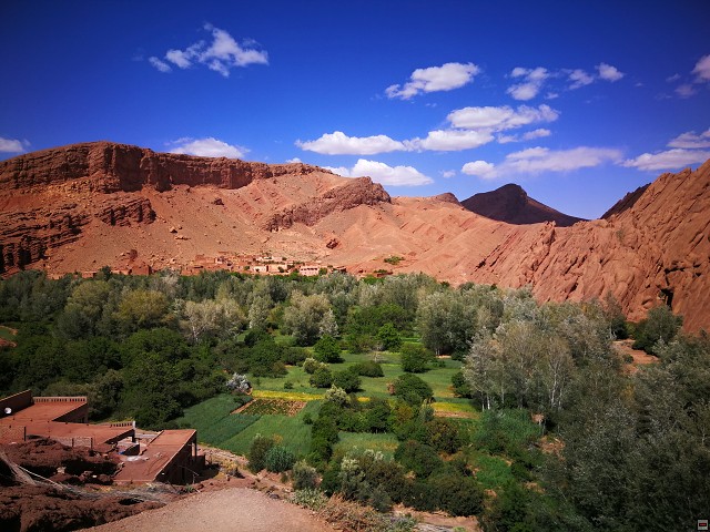 img00041.jpg