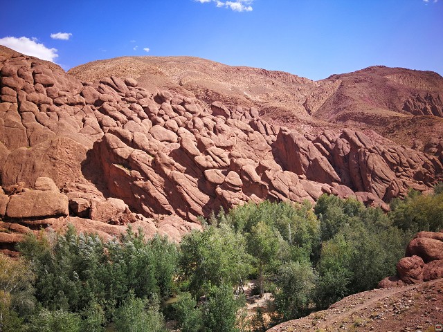 img00042.jpg