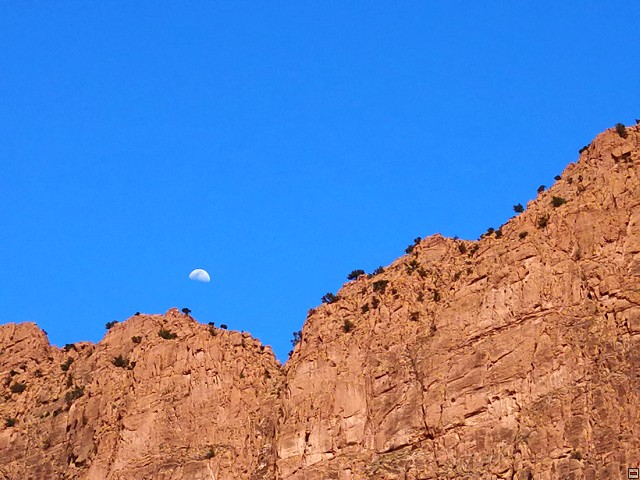img00052.jpg