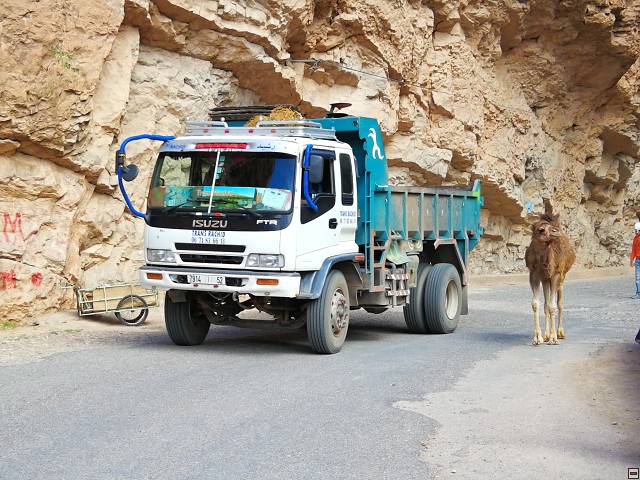 img00054.jpg