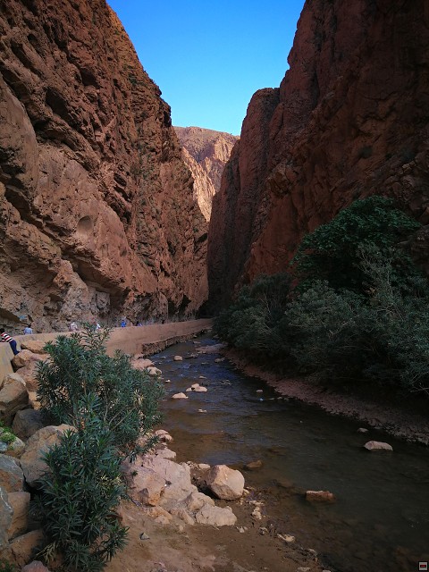 img00055.jpg
