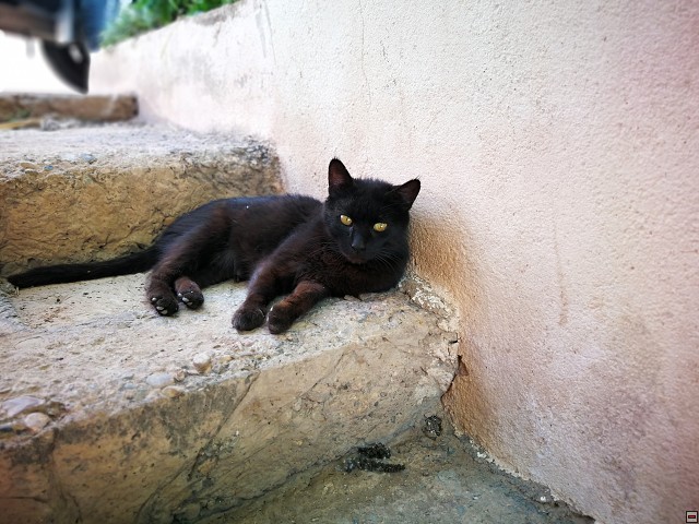 img00057.jpg