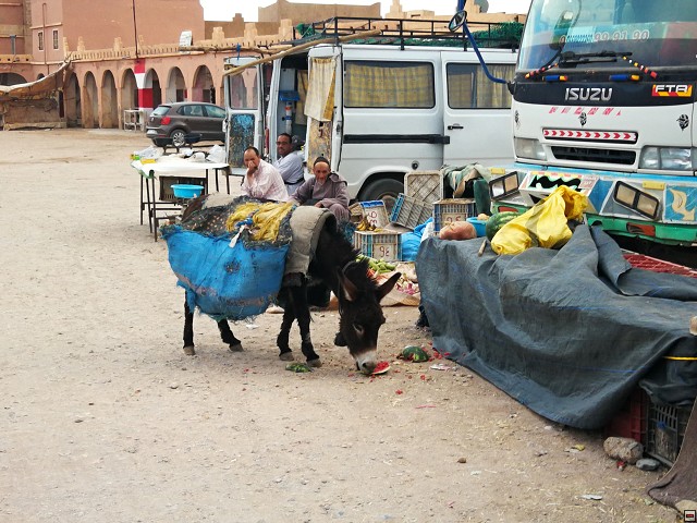 img00063.jpg