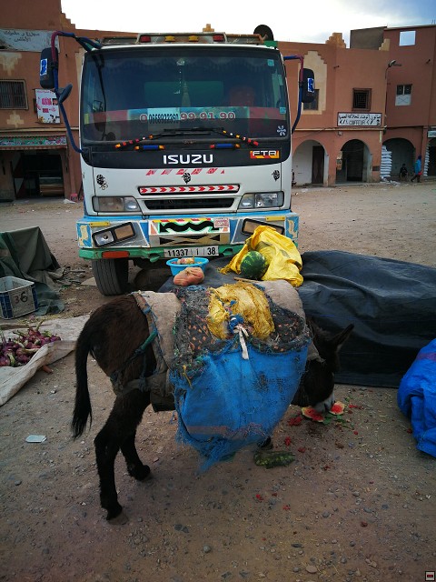img00064.jpg