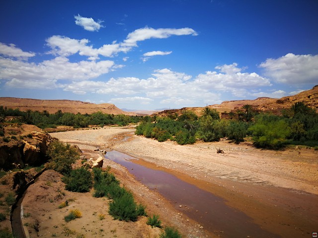 img00040.jpg