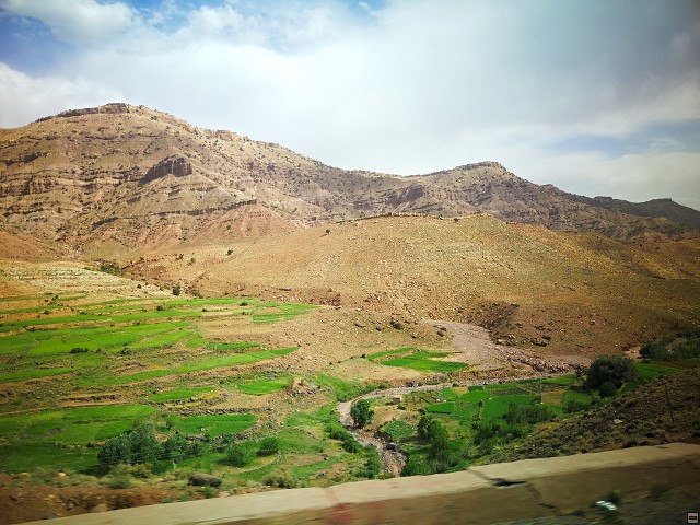 img00054.jpg