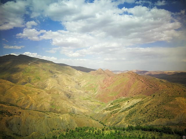 img00056.jpg