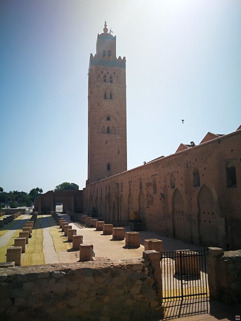 img00003.jpg
