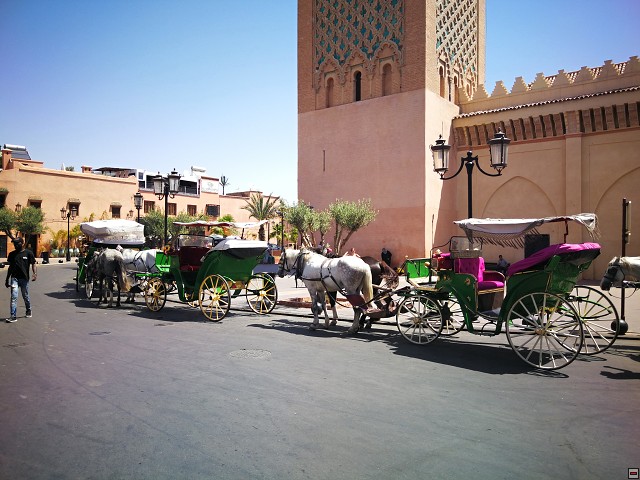 img00007.jpg