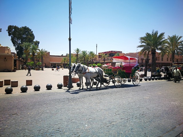 img00017.jpg