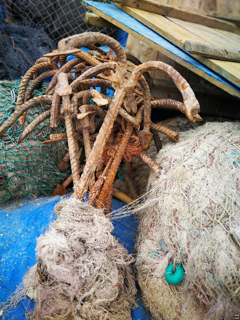 img00014.jpg