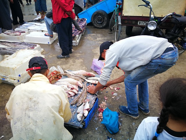 img00018.jpg