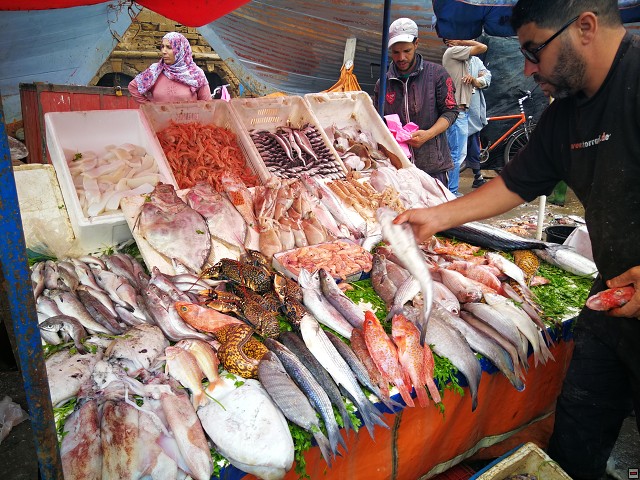 img00020.jpg