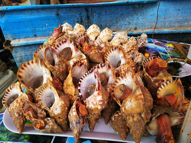 img00021.jpg