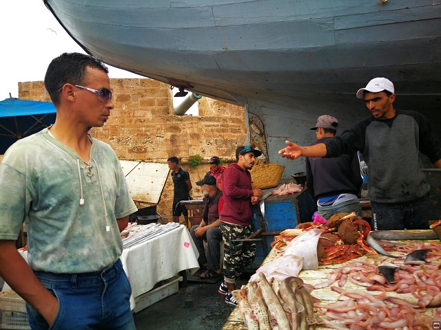 img00022.jpg