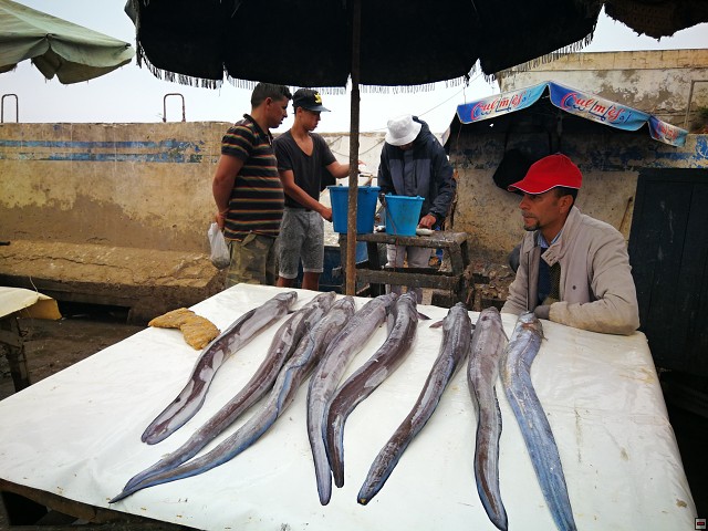 img00025.jpg
