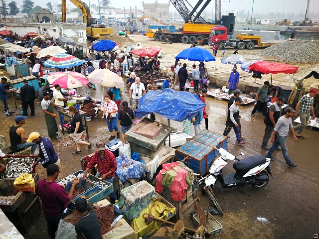 img00028.jpg