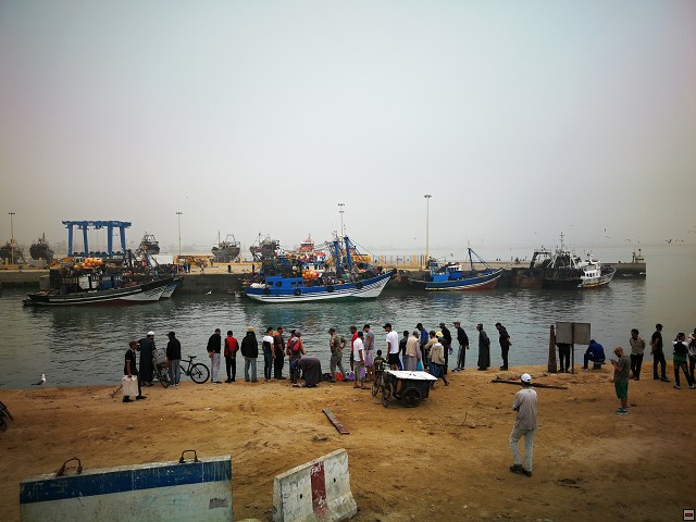 img00031.jpg