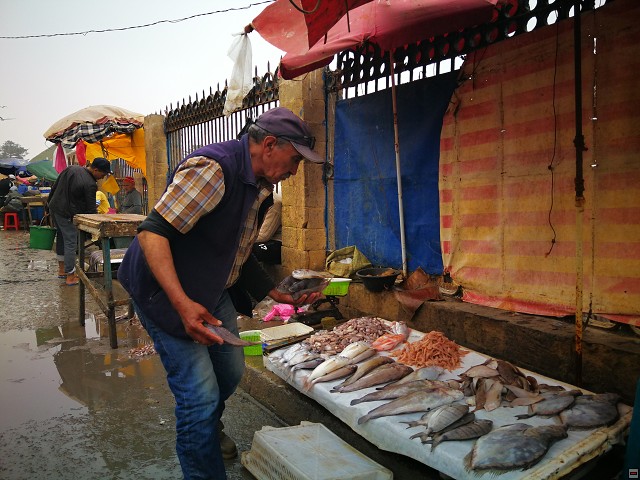 img00032.jpg