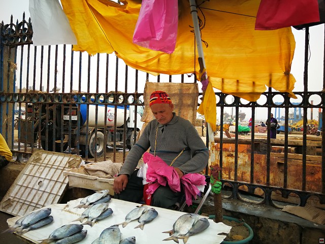 img00033.jpg
