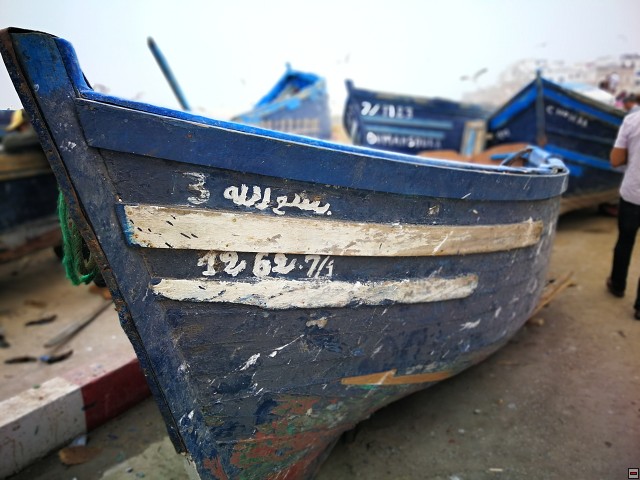img00039.jpg