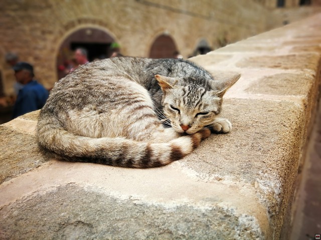 img00043.jpg